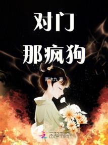 明星灿烂诗歌歌词含义