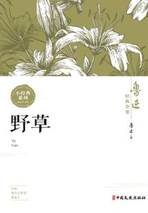 属狗今年多大吃盐
