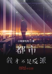 属猪的2017感情挺