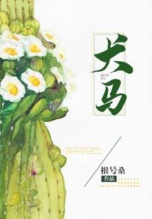 唐朝12属相