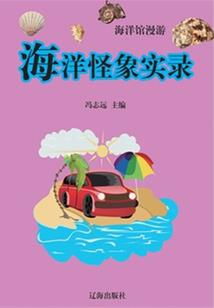 贷记卡月份数16