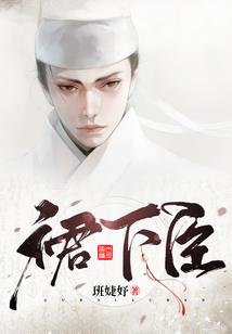 属狗与什么犯象
