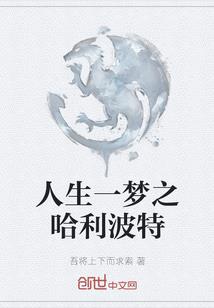 一个刀客的命运