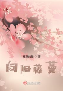 之陶名字的含义