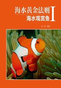 41层各楼层的寓意