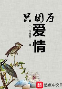 2019肖猪人每月运程