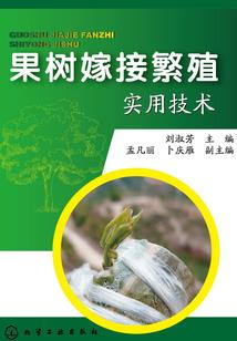 申和陈的网名