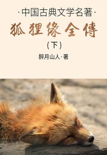 哪个星座耿直
