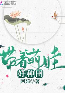 2017龙年的运程