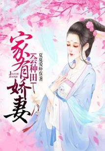 狗年蛇的财运