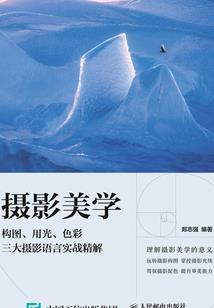 属鼠公司起名禁忌