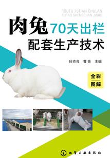 属猴在虎年