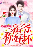 属鼠的属相绝配