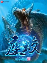 任家风水视频全集