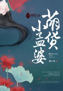风水大宅农村小院设计