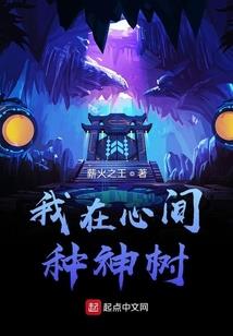 新加坡风水店销售