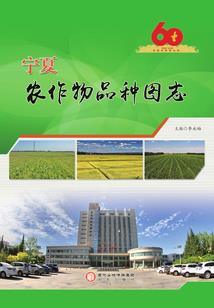 属猪起名叫赫