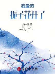 属猪玄关摆什么最旺财