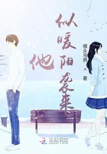 备孕属兔还是属龙