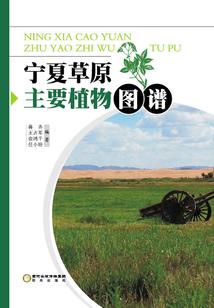 食品店如何开在农村起名