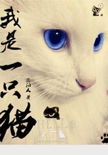 八字看高冷