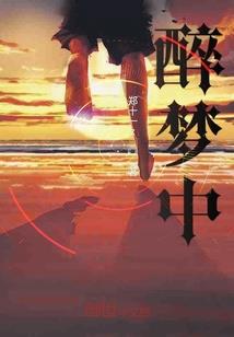 命运2登录连接错误页面