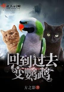 双子女运势感情运程