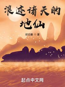林诗迪的寓意