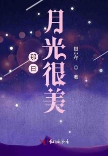 阳历和阴历有什么区