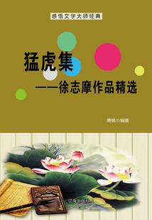 属虎人找什么工作最好呢