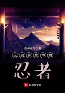 命运之轮奥伽套装