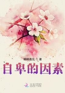 海双布偶猫起名