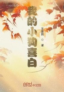 周公解梦吸大烟