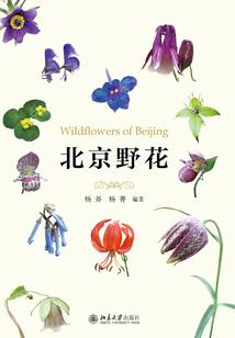 乌克兰人的命运交给谁管