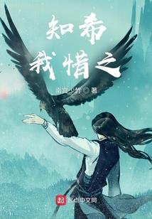 属羊的明年健康如何
