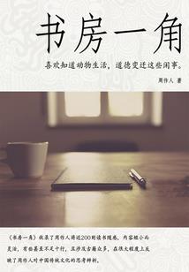 属鼠和属虎宝宝属马