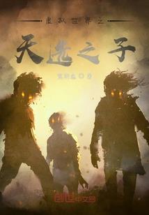 雍正生日阴历