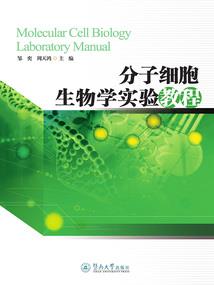 2016伤感网名