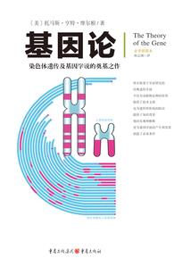 属女羊和属男马能结婚吗