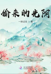 单位新购车辆12月份