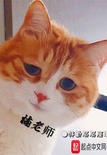 属兔都有什么兔