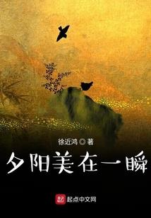 命运圣典应该怎么加