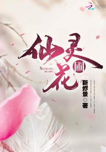 各种八字财运