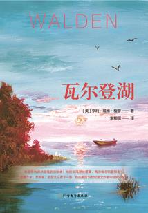 男败丈人属相