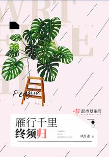 82年属狗的幸运饰品