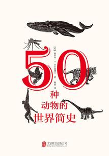 属猪哪个年份运势最好