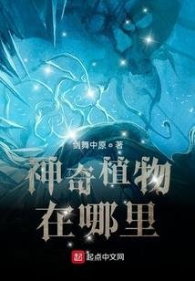 属猪适合剪头发日子