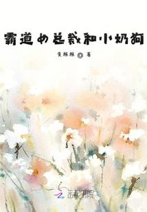 屋顶有猫什么预兆风水