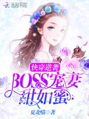 属猪的适合黑色吗