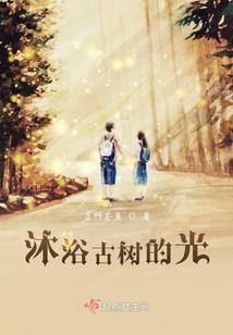 命运法则pet